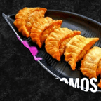 Best Momos (Fried/Steam) in Pittsburgh, PA